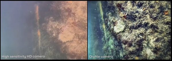 OrphieCam 300 offers a clear rel time view for subsea inspection up to 300m in turbid waters