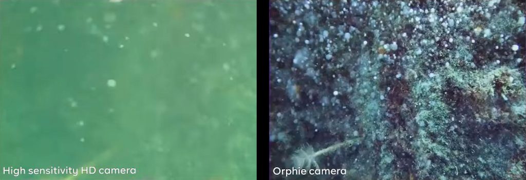 i2S OrphieCam 300 vs other cameras example